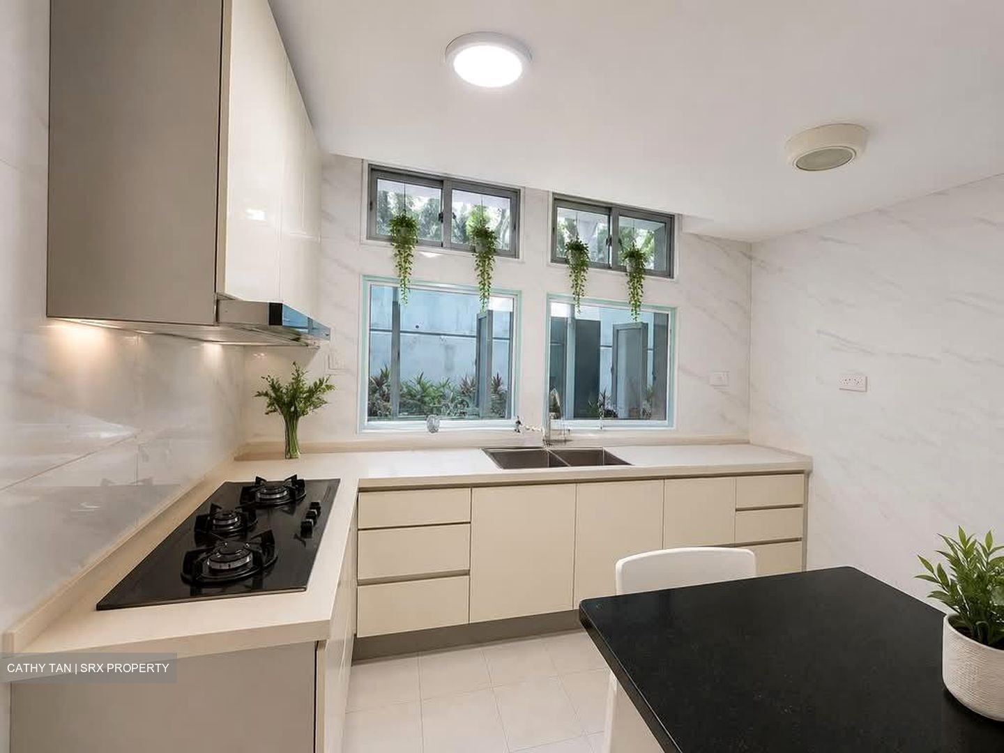 Ballota Park Condominium (D17), Condominium #591209711